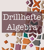 Drillhefte i Algebra (Digitalt produkt)